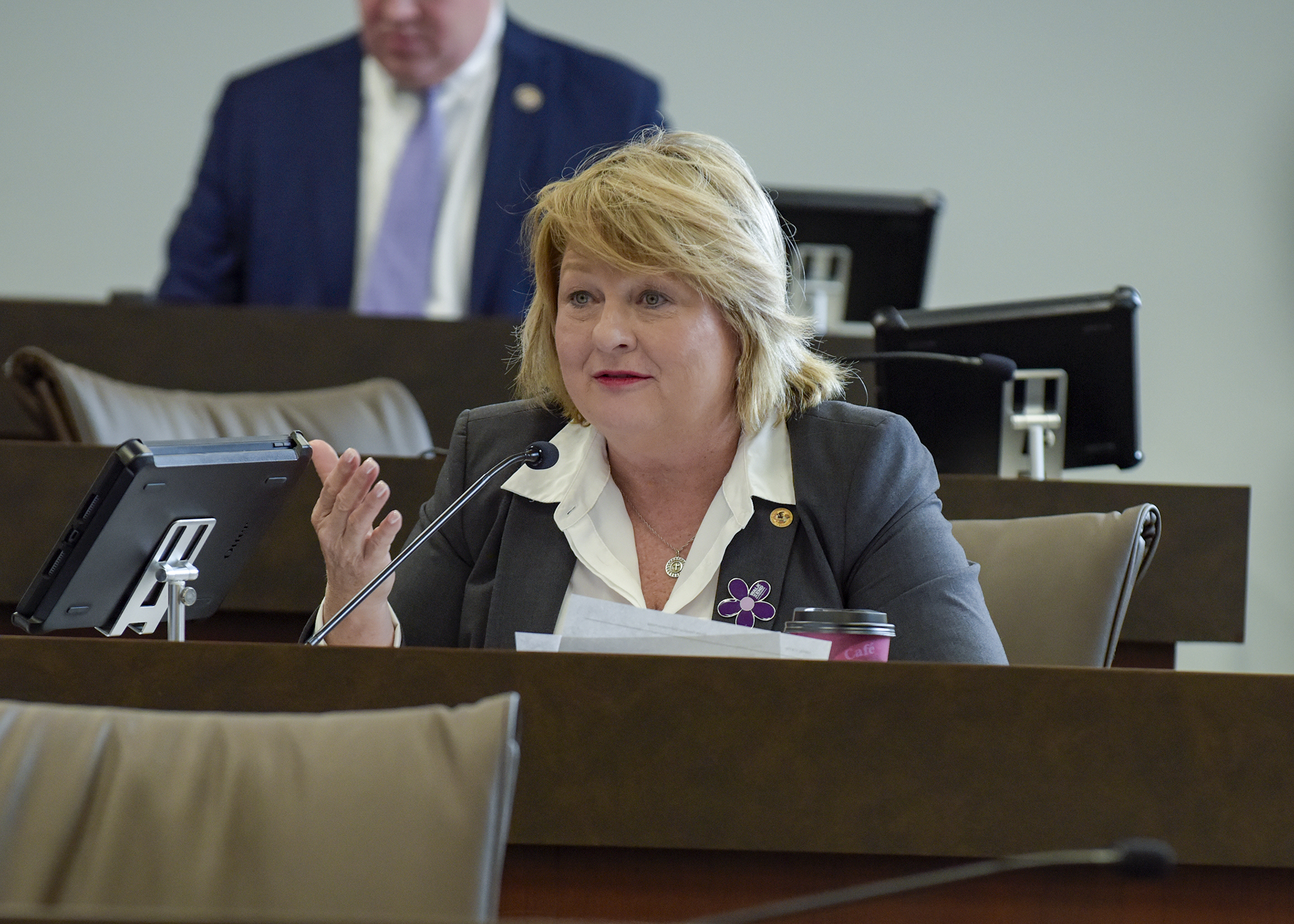 Senator Bryant Asking a Question in Committee