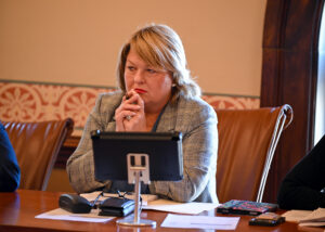 Senator Bryant in a Committee Hearing