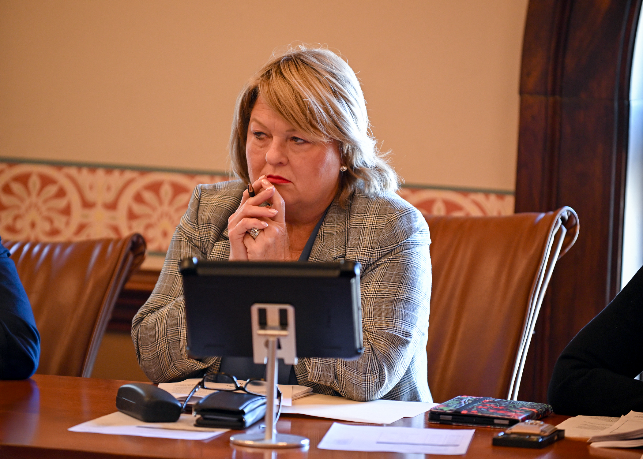 Senator Bryant in a Committee Hearing